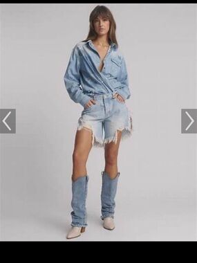 One Teaspoon Frankie’s Denim Distressed Shorts
